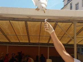 At our fish market everybody finds something