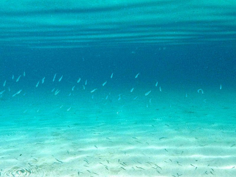 Adriatic