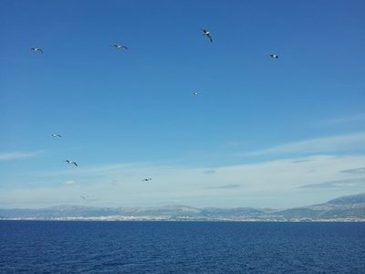 On our way to Hvar
