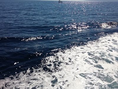 The Adriatic